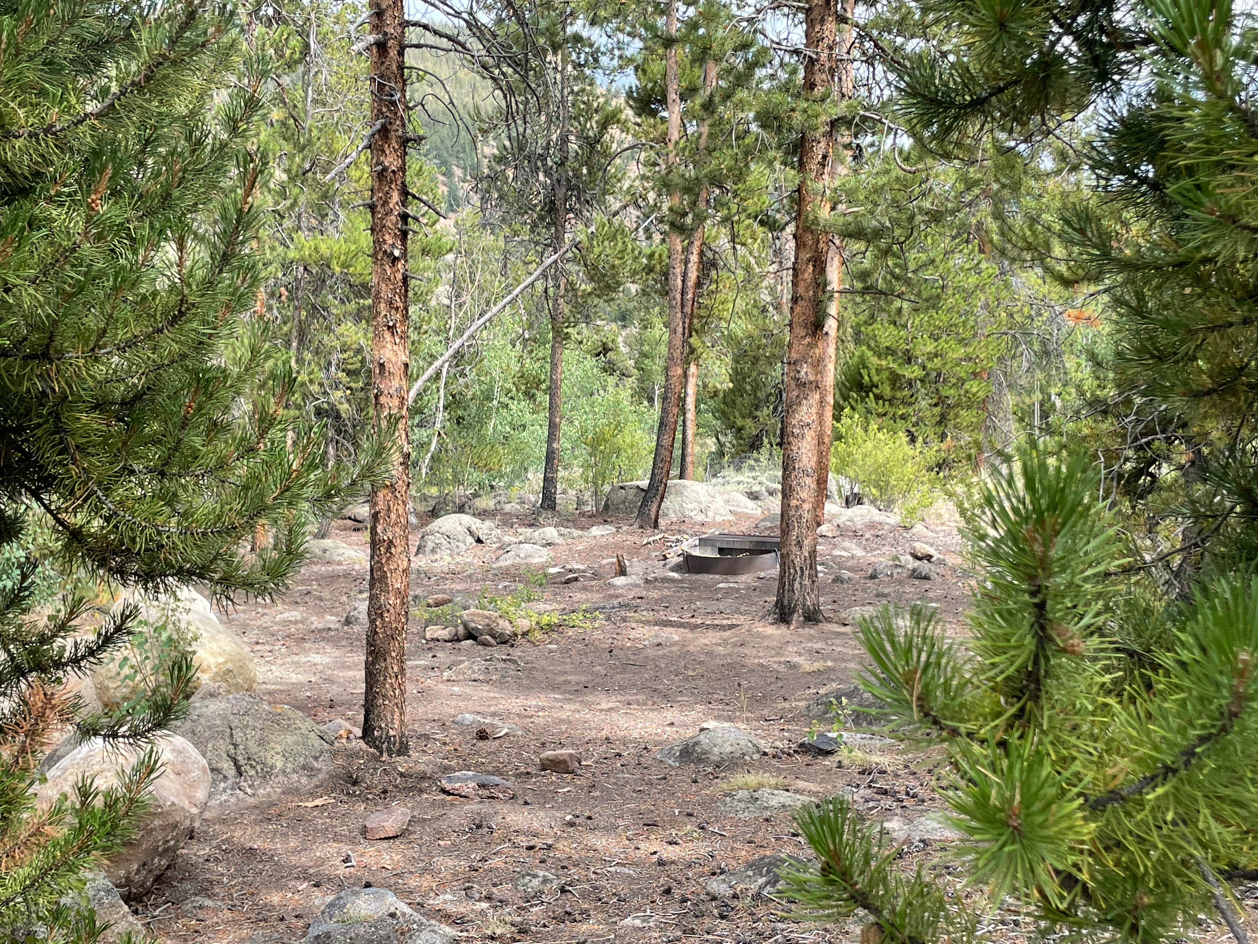 Camper-submitted photo at Granite Rock Camp near Granite, CO