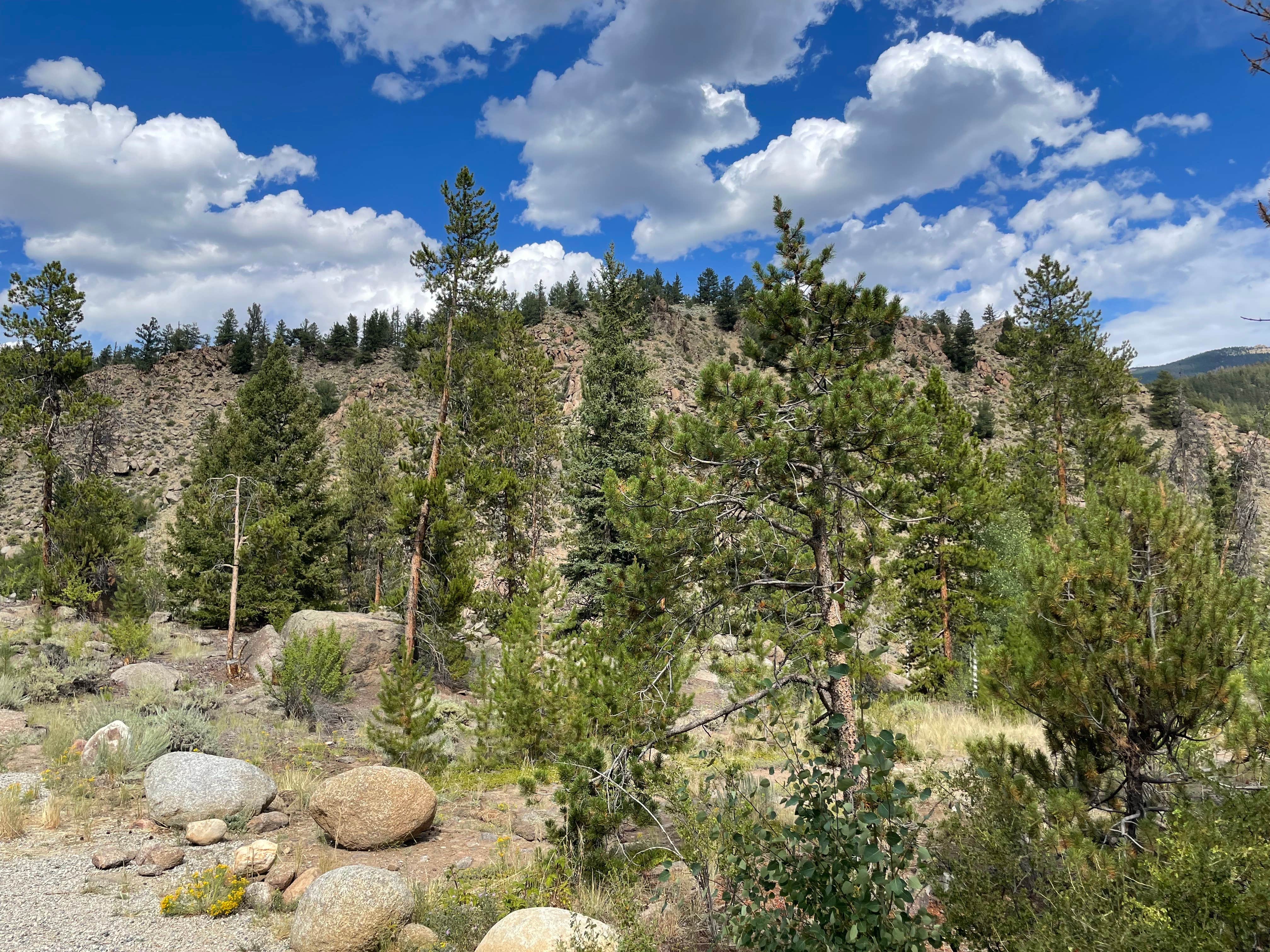 Camping near Weston Pass Campground: Granite Rock Camp, Granite, Colorado