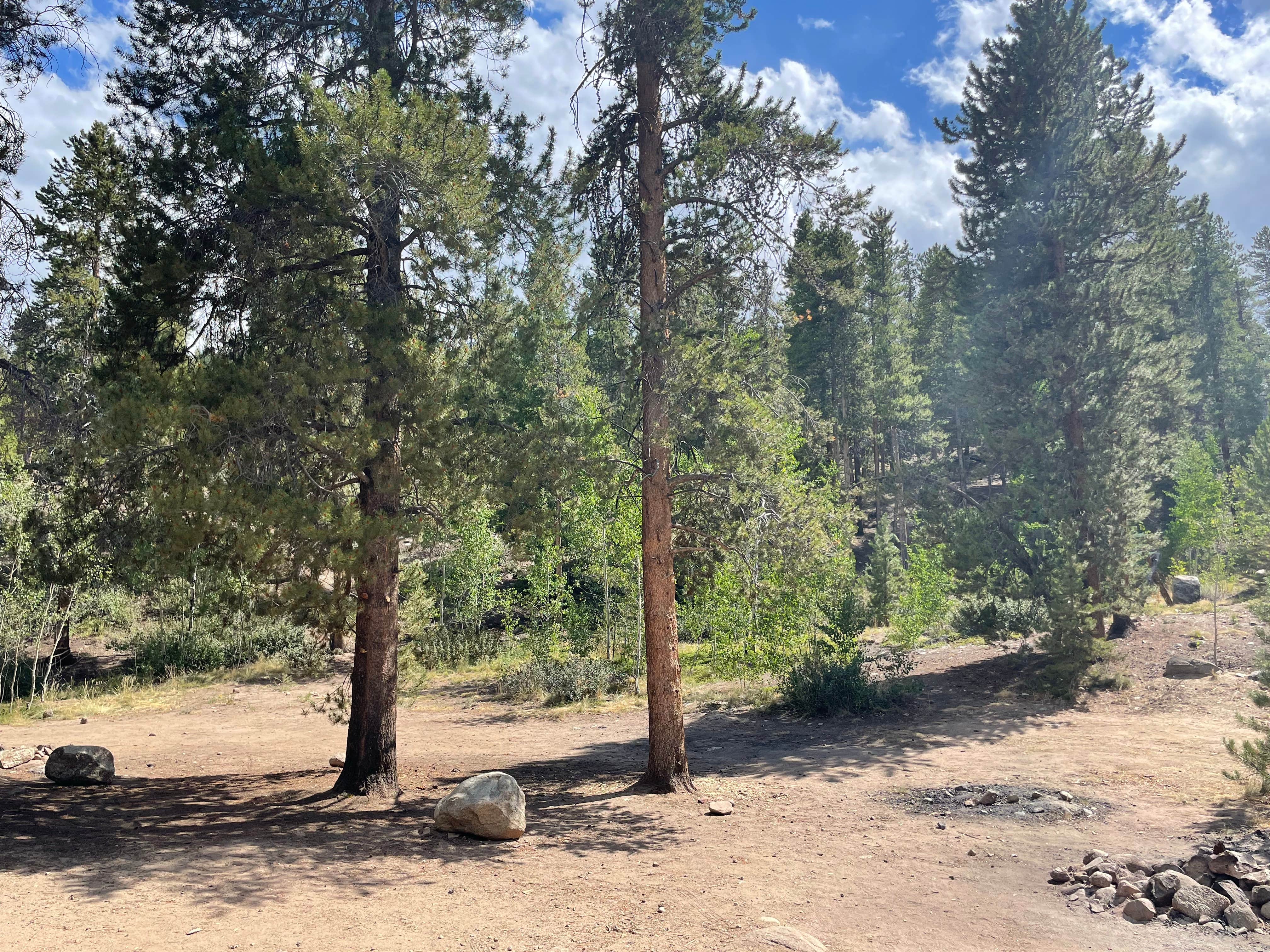 Camper-submitted photo at Granite Rock Camp near Granite, CO