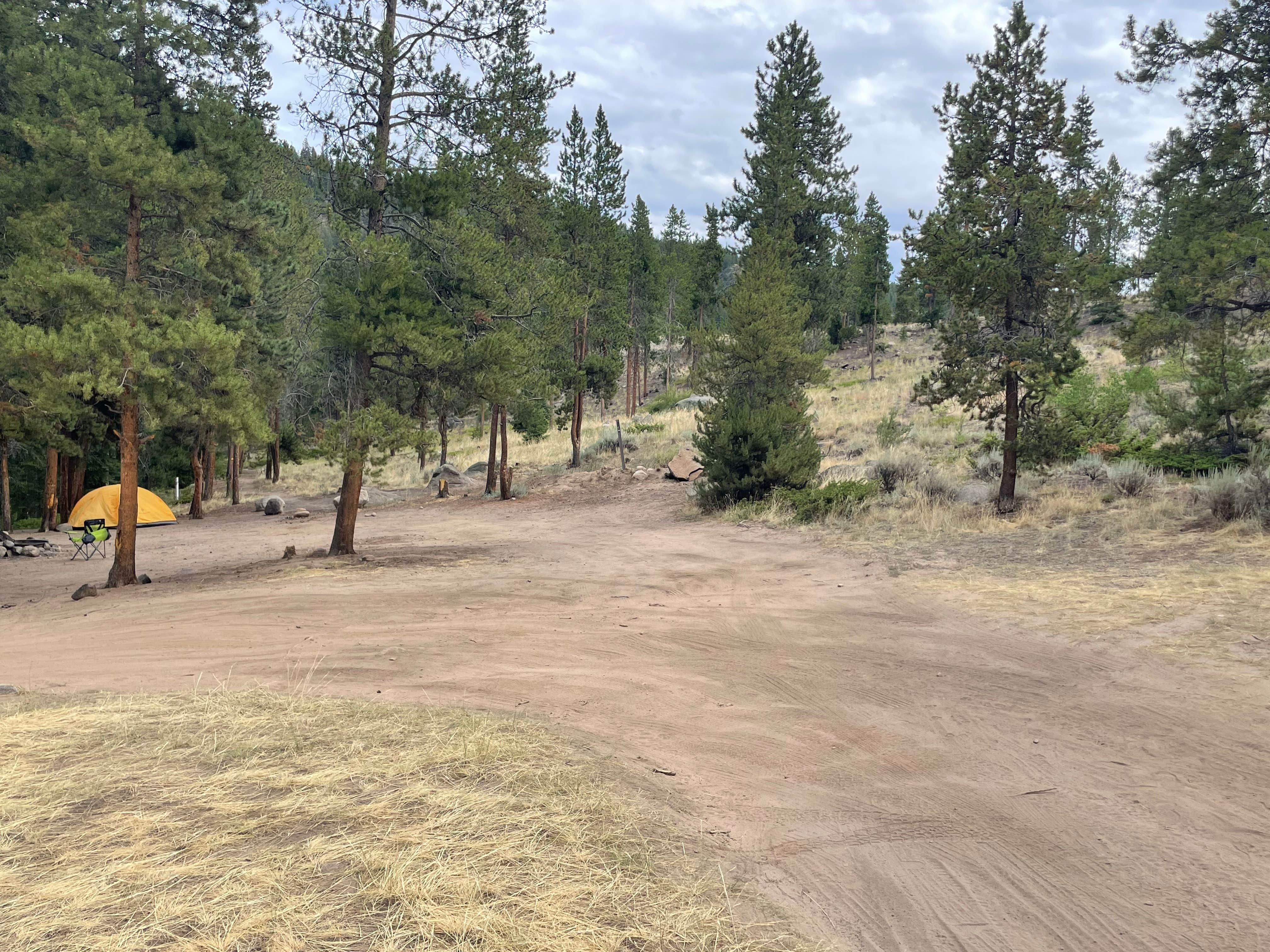 Chris P.'s photo of a dispersed camping area at Stone Cabin near Fairplay, CO
