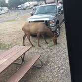 Review photo of Trailer Village RV Park — Grand Canyon National Park by Ray S., October 27, 2018