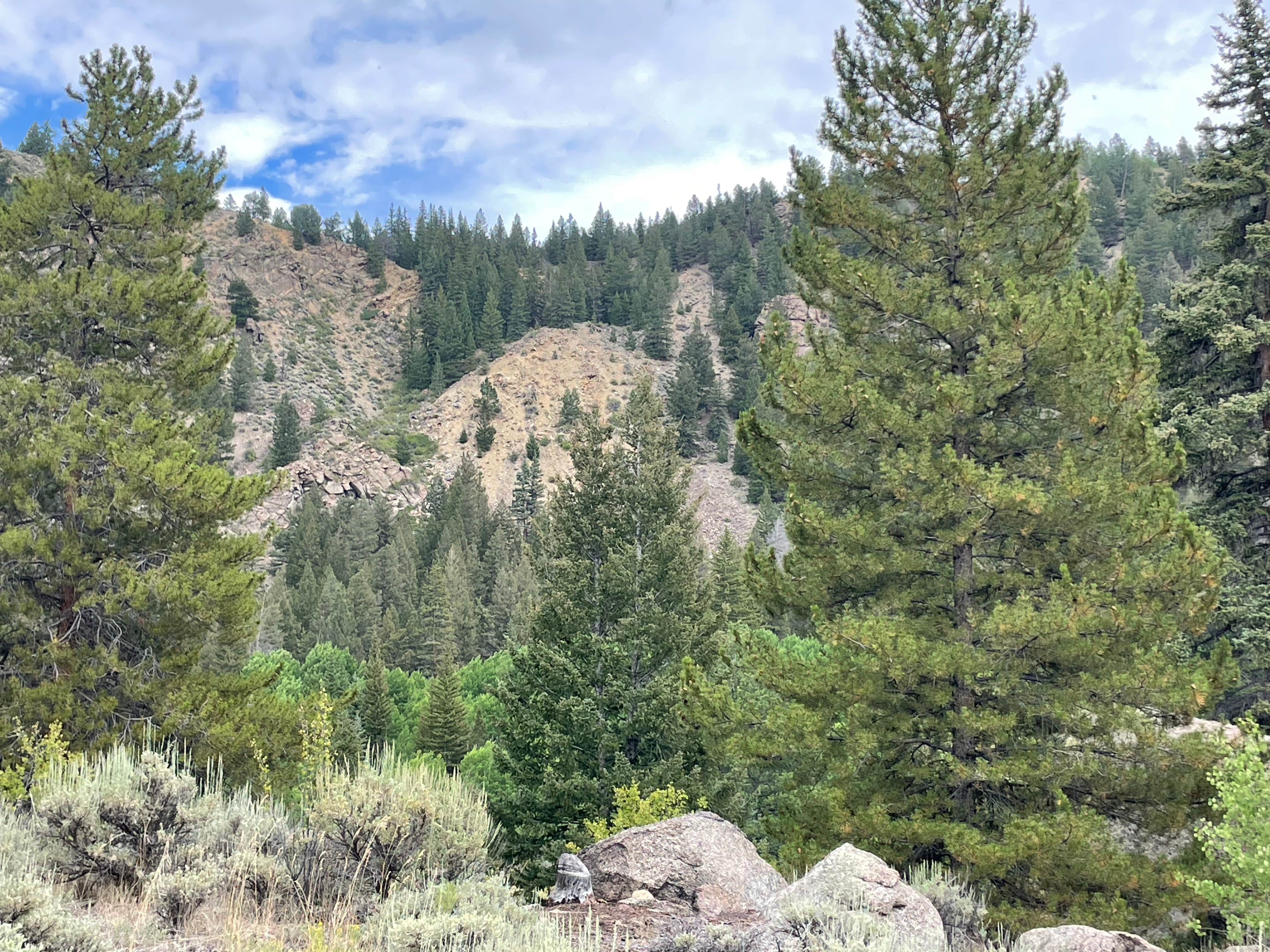 Camper-submitted photo at Stone Cabin near Granite, CO