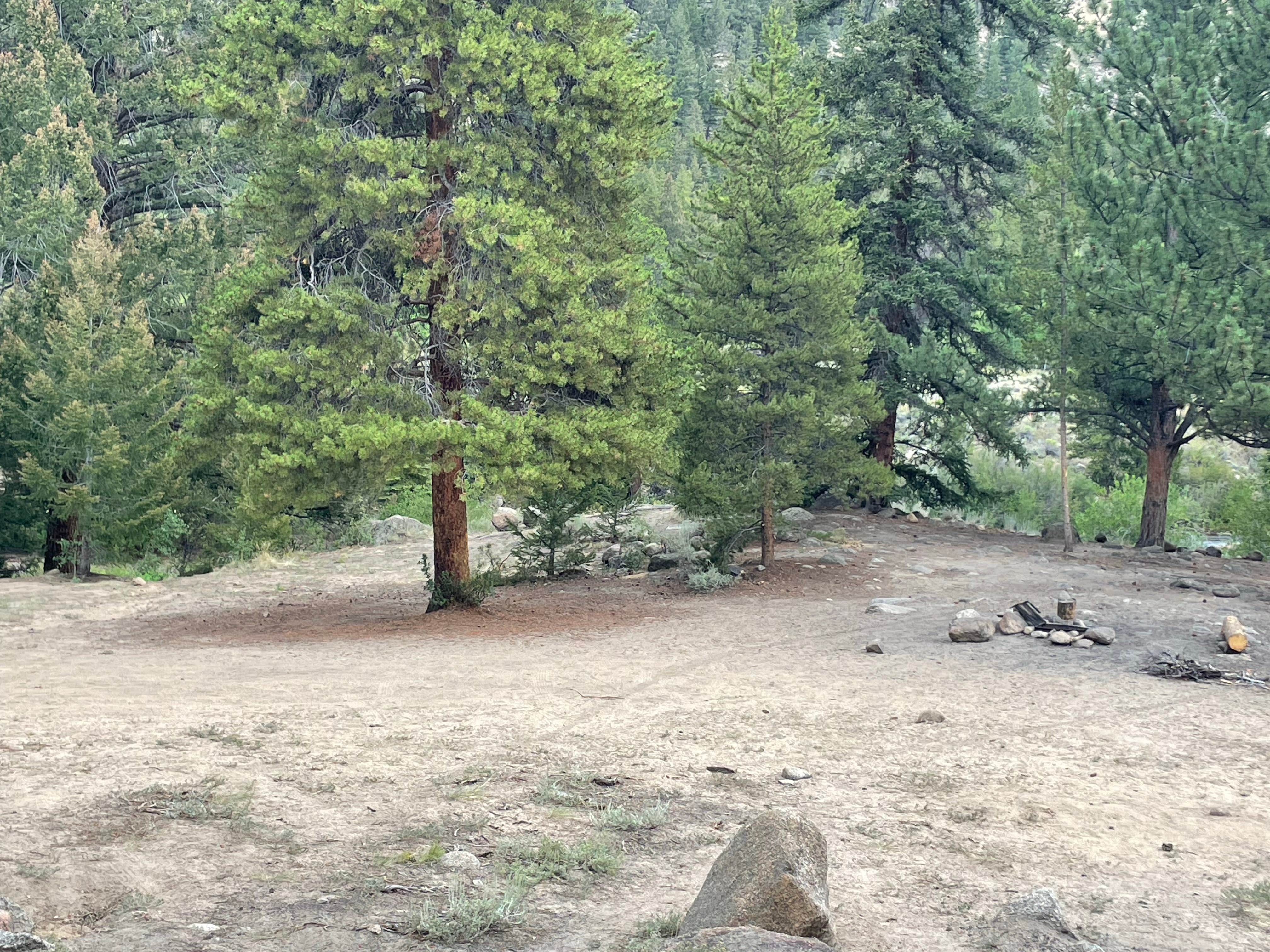 Camper-submitted photo at Stone Cabin near Granite, CO