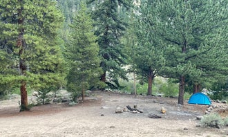 Camping near Weston Pass Campground: Stone Cabin, Granite, Colorado