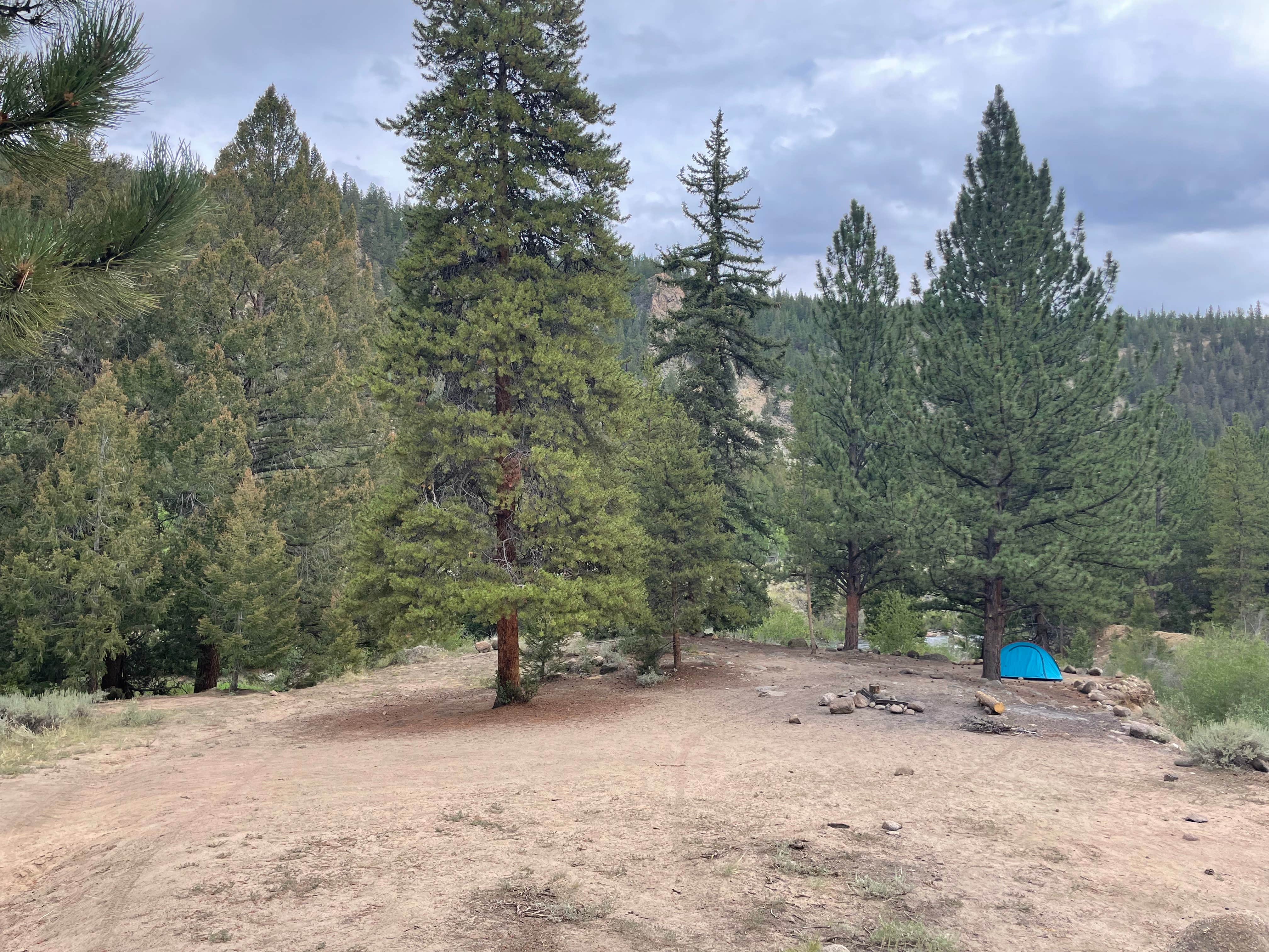 Camper-submitted photo at Stone Cabin near Granite, CO