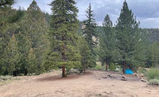 Chris P.'s photo at Stone Cabin near Granite, CO