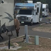 Review photo of Trailer Village RV Park — Grand Canyon National Park by Ray S., October 27, 2018