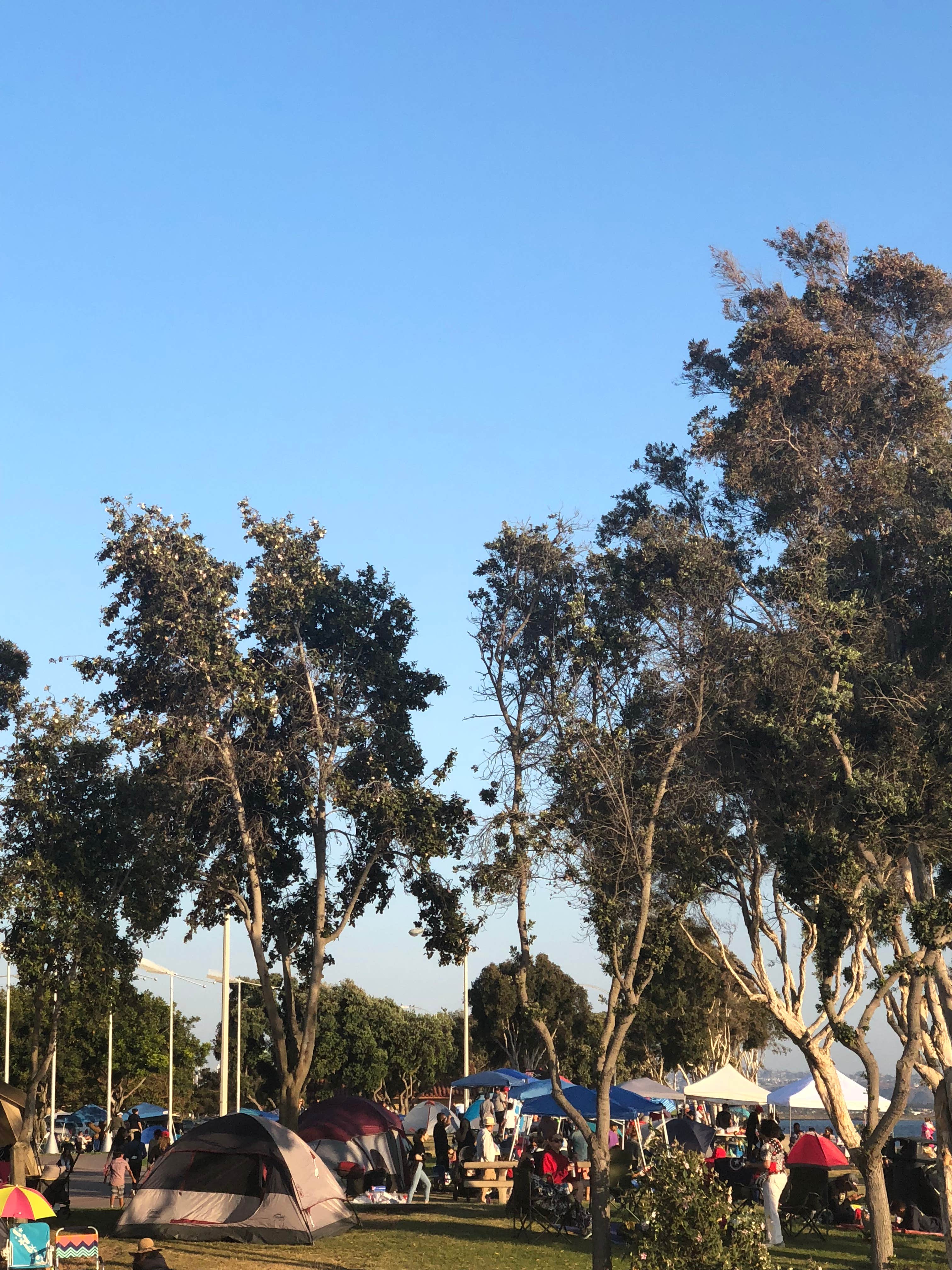 Camper submitted image from Sun Outdoors San Diego Bay - 5
