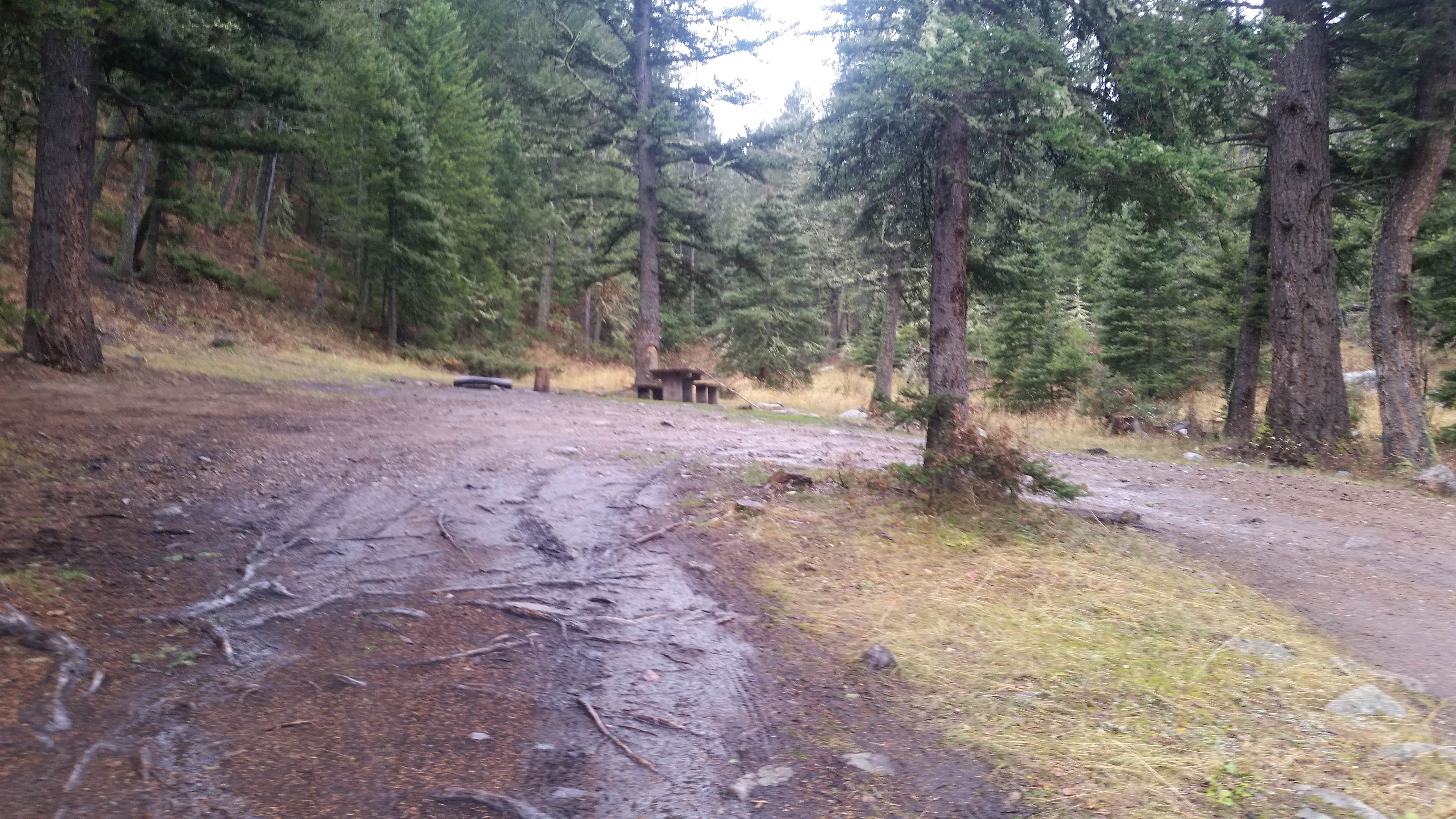 Camper-submitted photo at Richardson Campground near Melville, MT