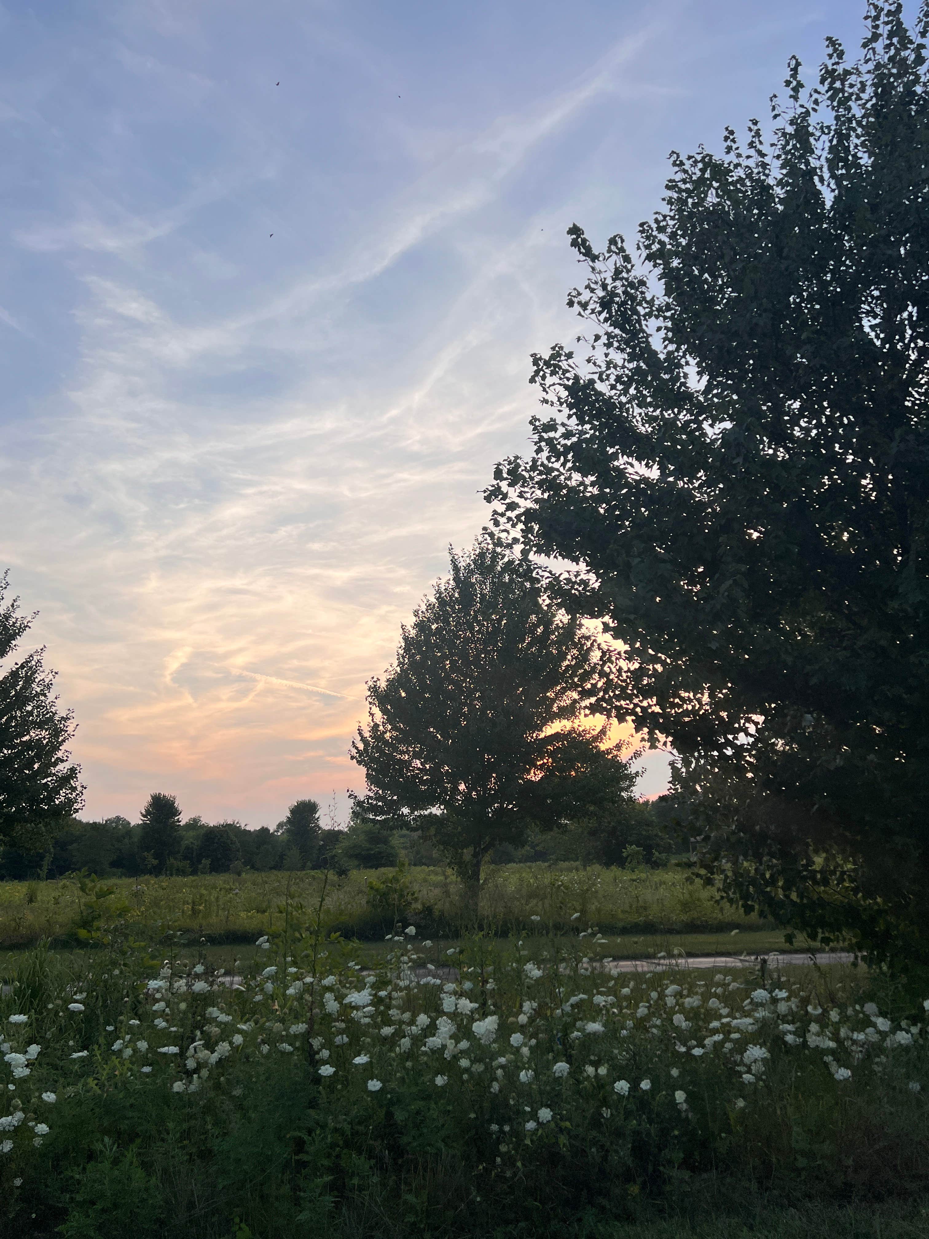 Camper-submitted photo at Ottawa Metro Park Campground near Lima, OH