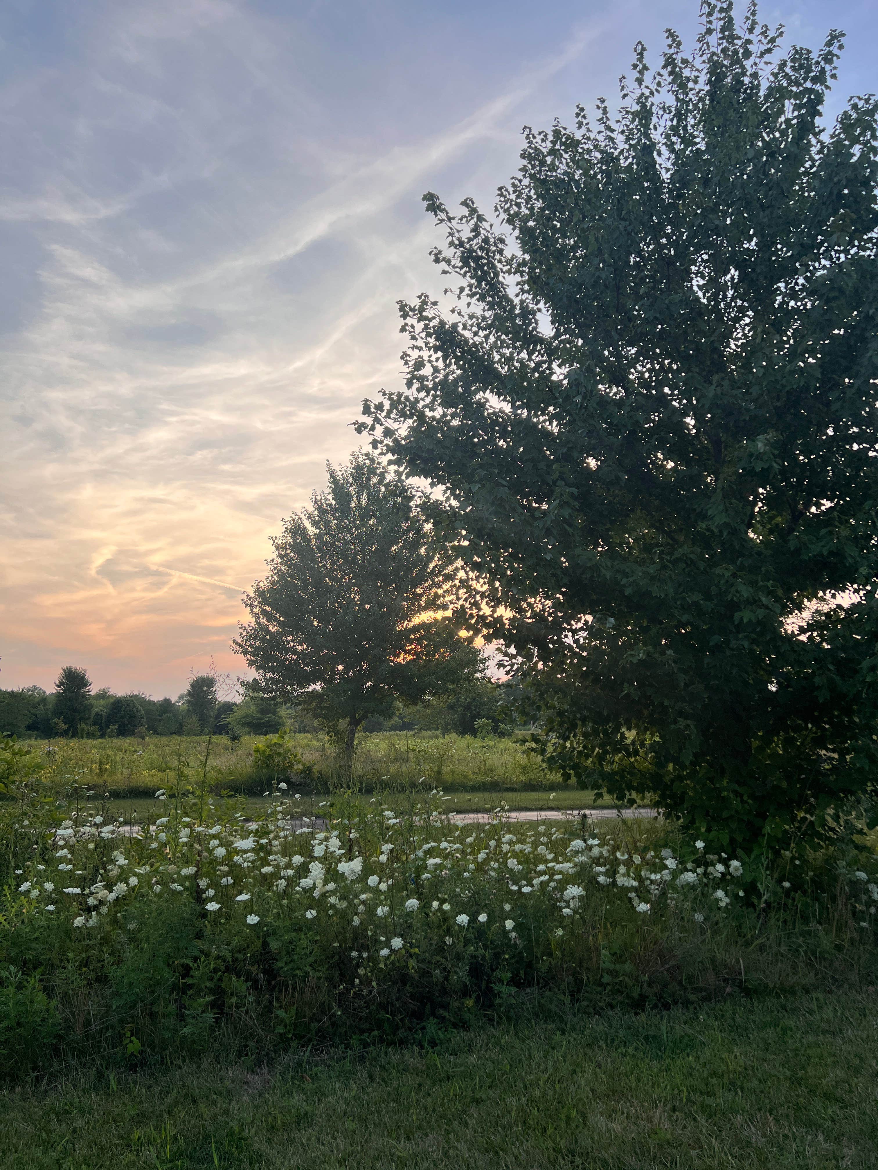 Camper submitted image from Ottawa Metro Park Campground - 1