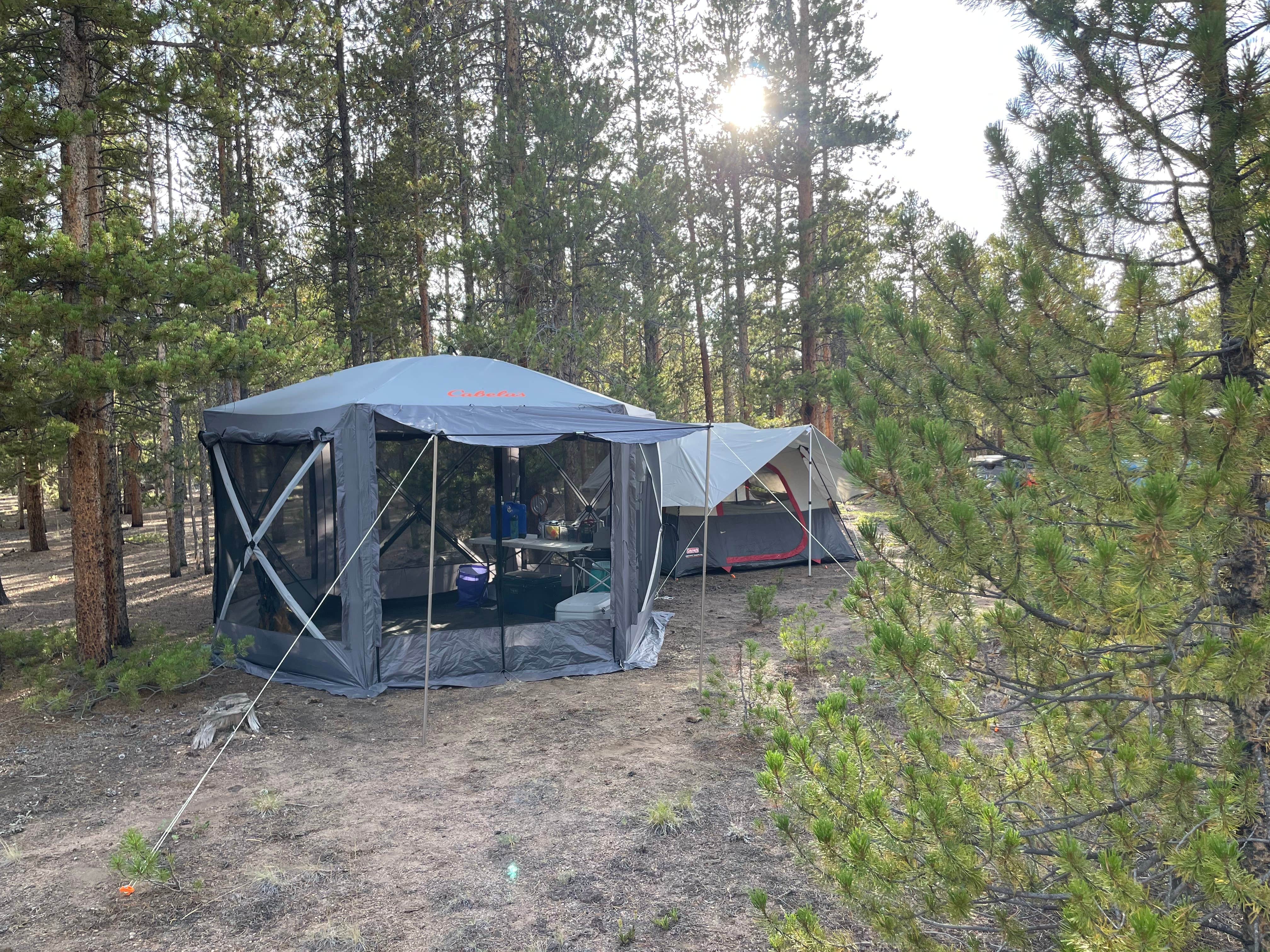 Chris P.'s photo of a dispersed camping area at Forest Road 130 near Snowmass Village, CO