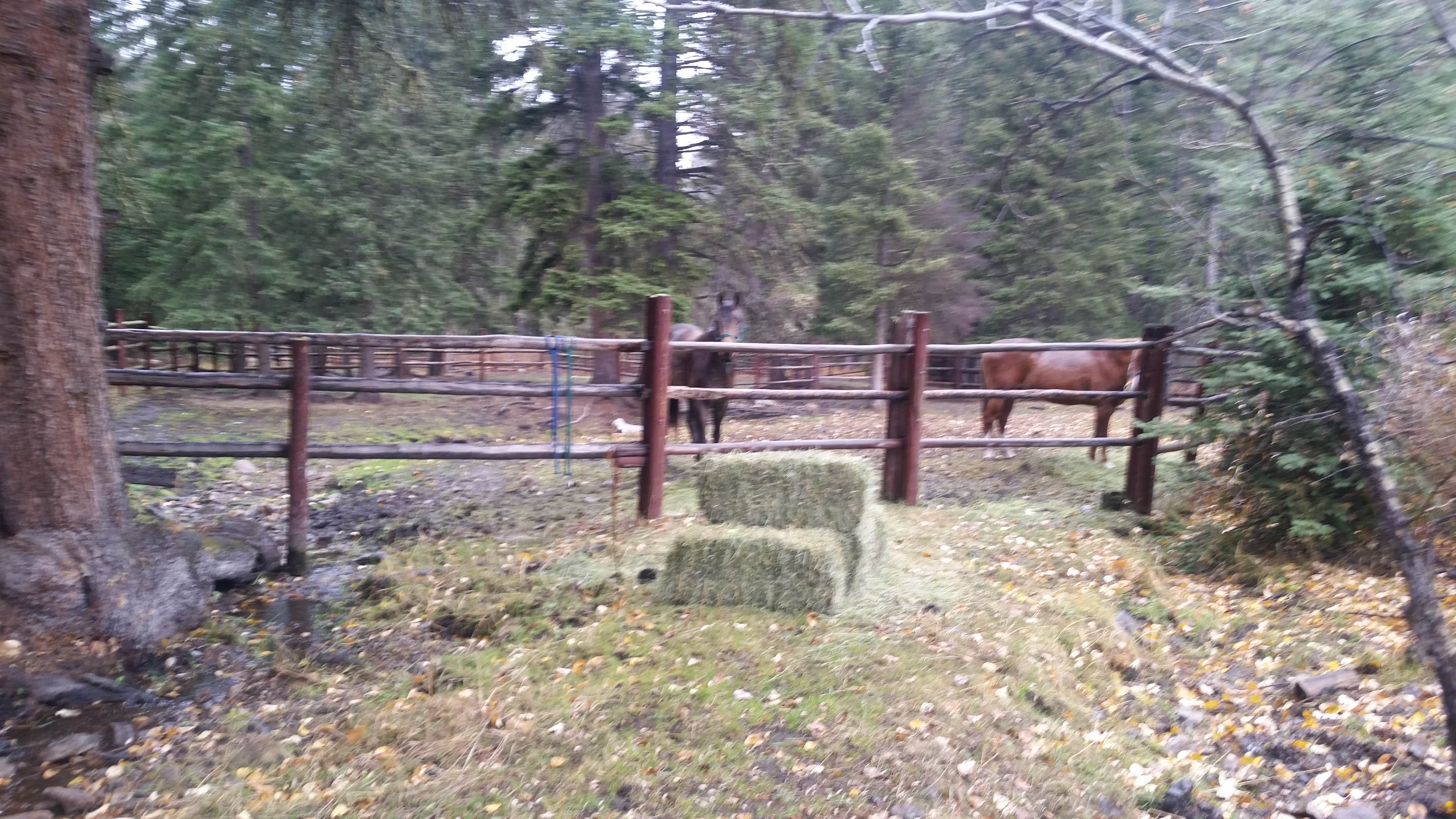 Camping near Conestoga Campground & RV Park: Richardson Campground, White Sulphur Springs, Montana