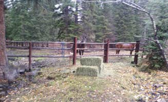 Dexter I.'s photo of camping with a horse at Richardson Campground near Wilsall, MT