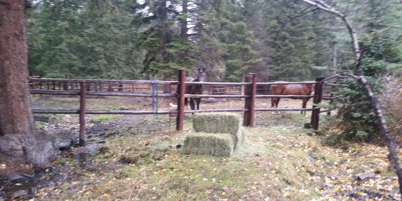 Camper submitted image from Richardson Campground