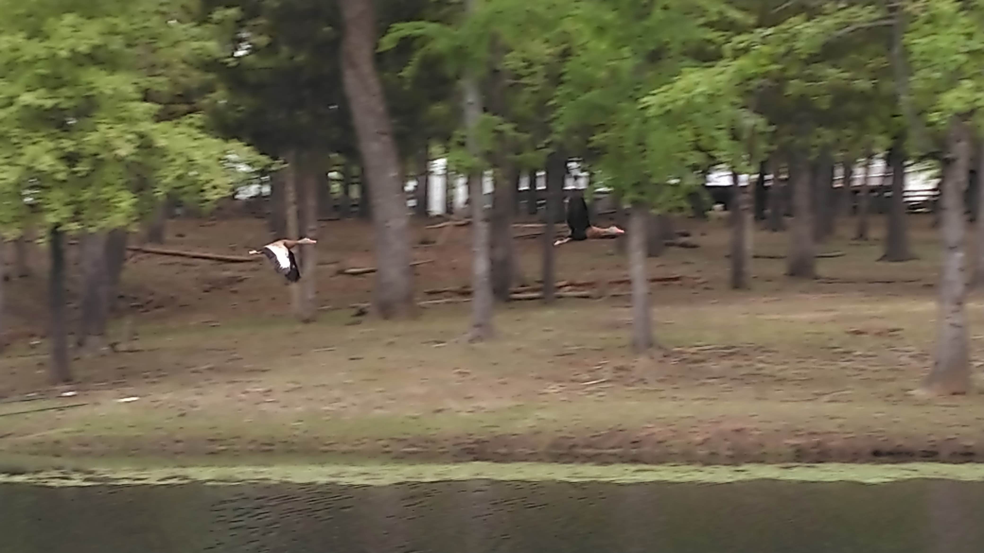 Camping near Shirleys RV Park: Crescent Sky Farm, Powderly, Texas