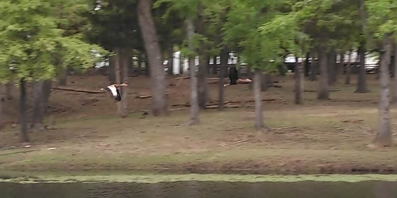 Camper submitted image from Crescent Sky Farm