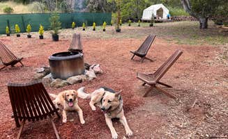 The Dyrt's photo of camping with pets at Tentrr Signature Site - Integrity Canvas Tent near Hollister, CA