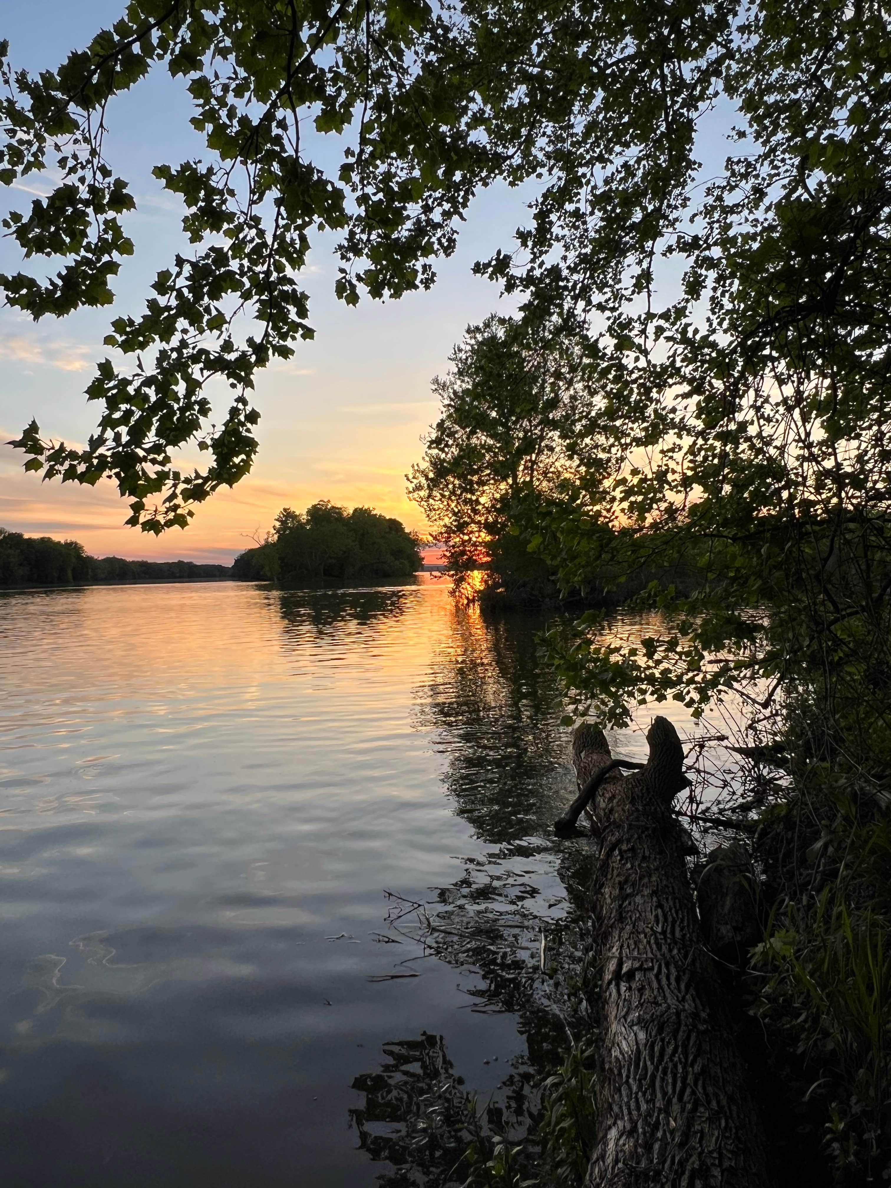 Camper-submitted photo at Camping by the Creek in Woods near Great Falls, VA