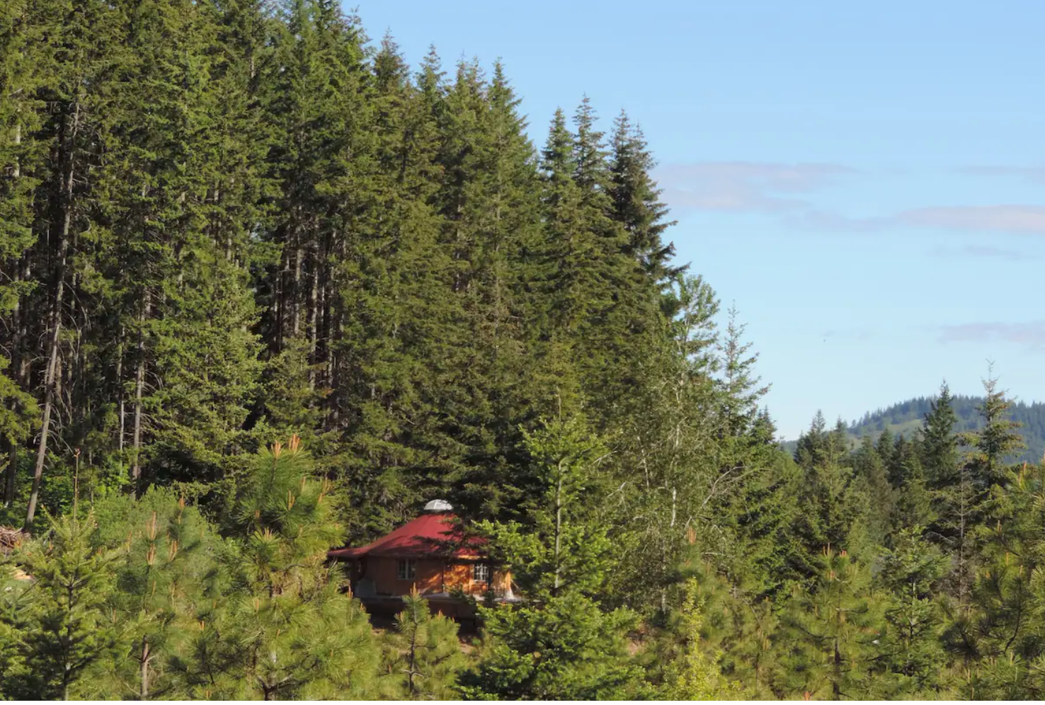 Camper-submitted photo at Yurt at Rivendell Romance in the Forest near Wishram, WA