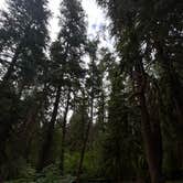 Review photo of Sol Duc Hot Springs Resort Campground — Olympic National Park by Alyson M., August 11, 2023