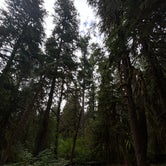 Review photo of Sol Duc Hot Springs Resort Campground — Olympic National Park by Alyson M., August 11, 2023