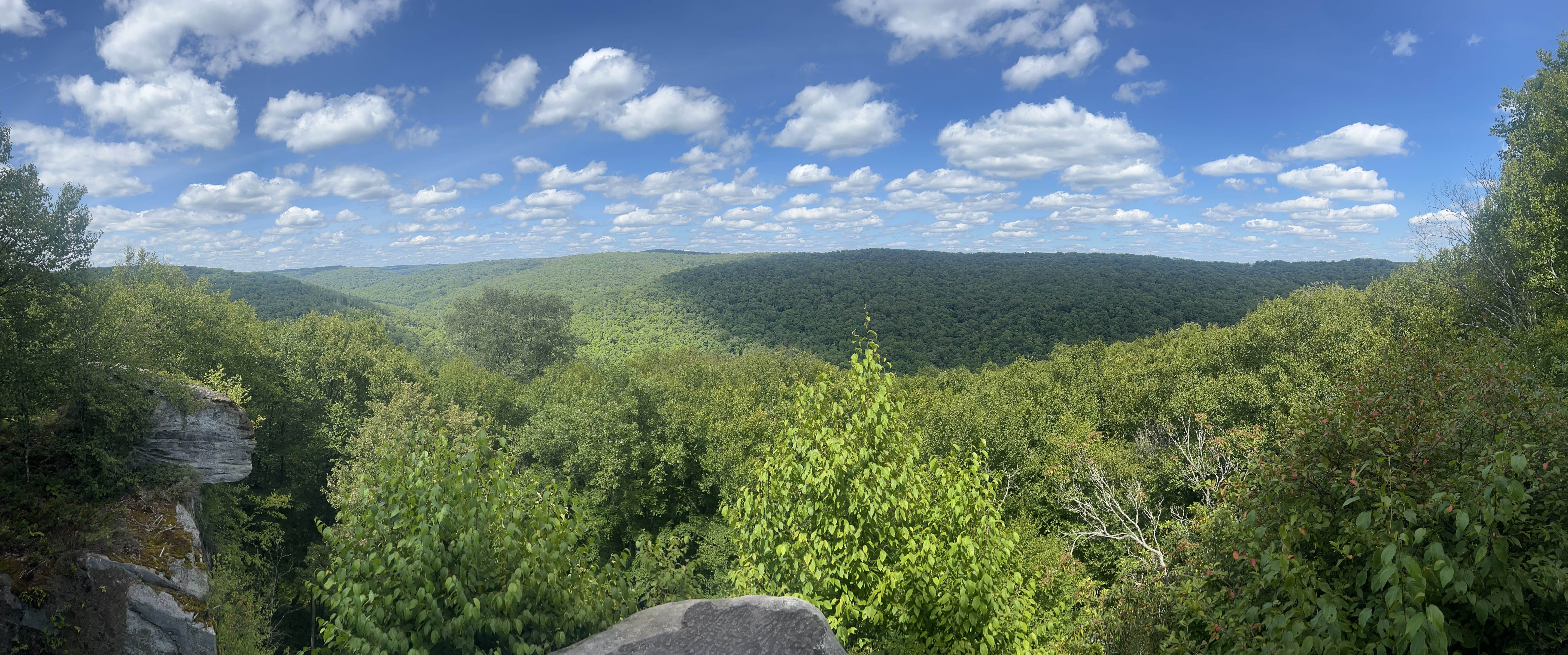 Camper-submitted photo at Loleta Road Dispersed Campsite near Tionesta, PA