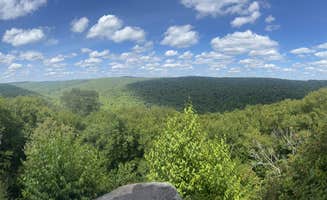 derek O.'s photo of a dispersed camping area at Loleta Road Dispersed Campsite near Panama, NY