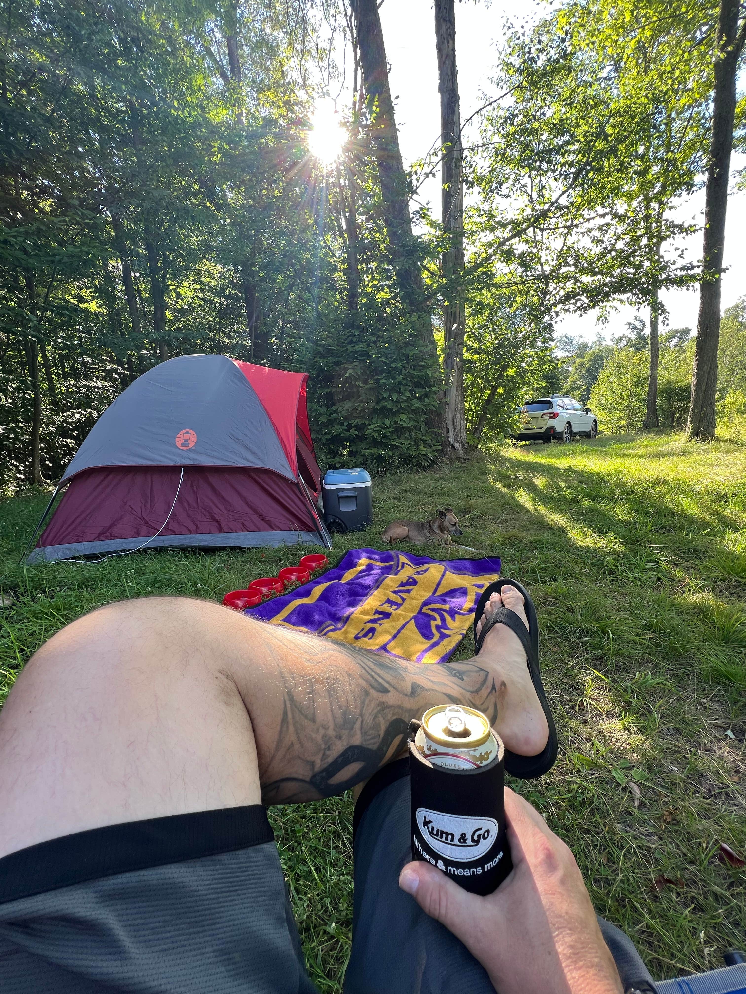 Camper-submitted photo at Loleta Road Dispersed Campsite near Shippenville, PA