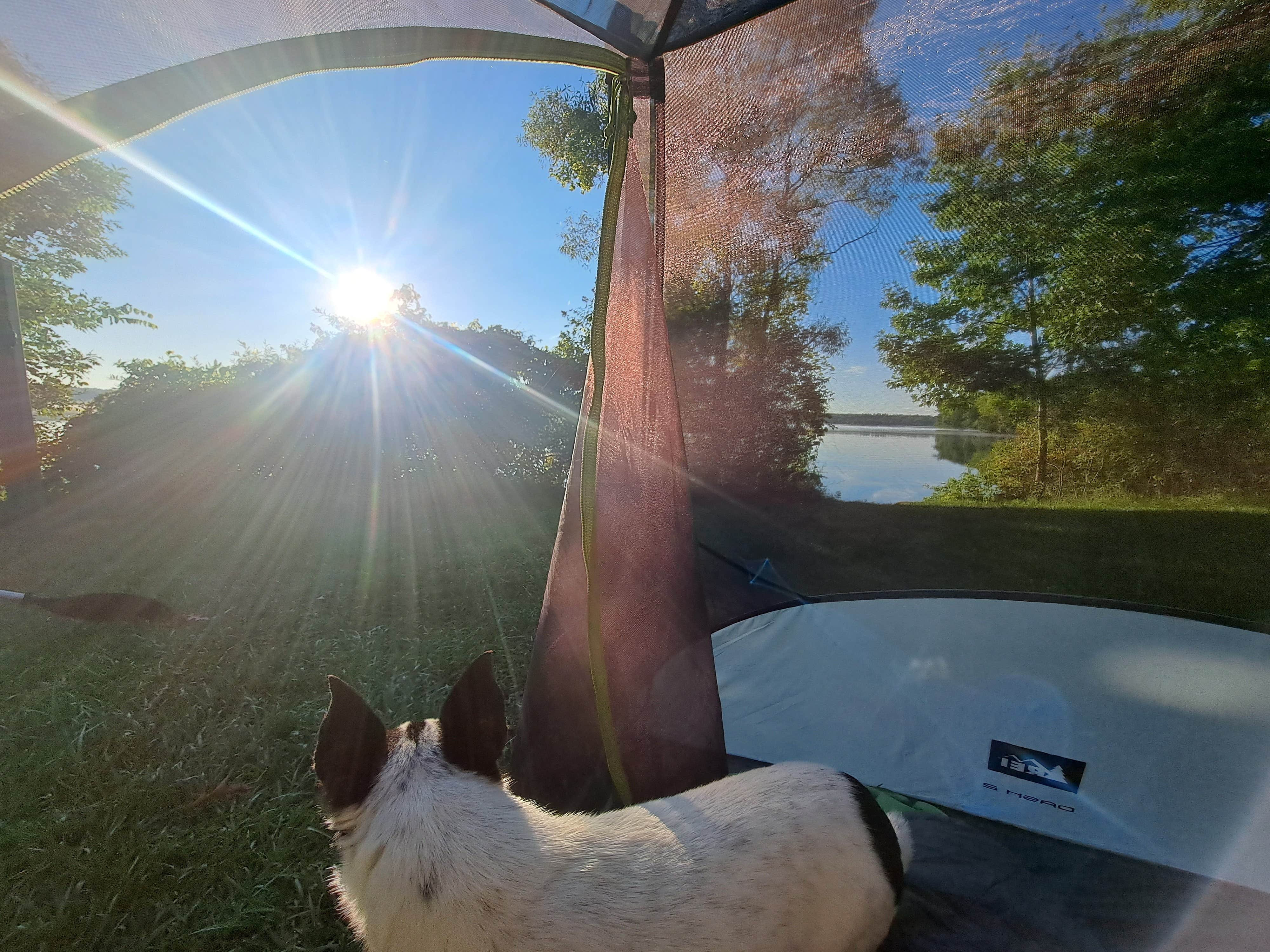 Sarah B.'s photo of camping with pets at Sleepy Hollow State Park Campground near Okemos, MI