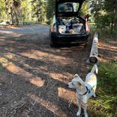 Review photo of Colter Bay Tent Village at Colter Bay Village — Grand Teton National Park by Randall K., August 12, 2023