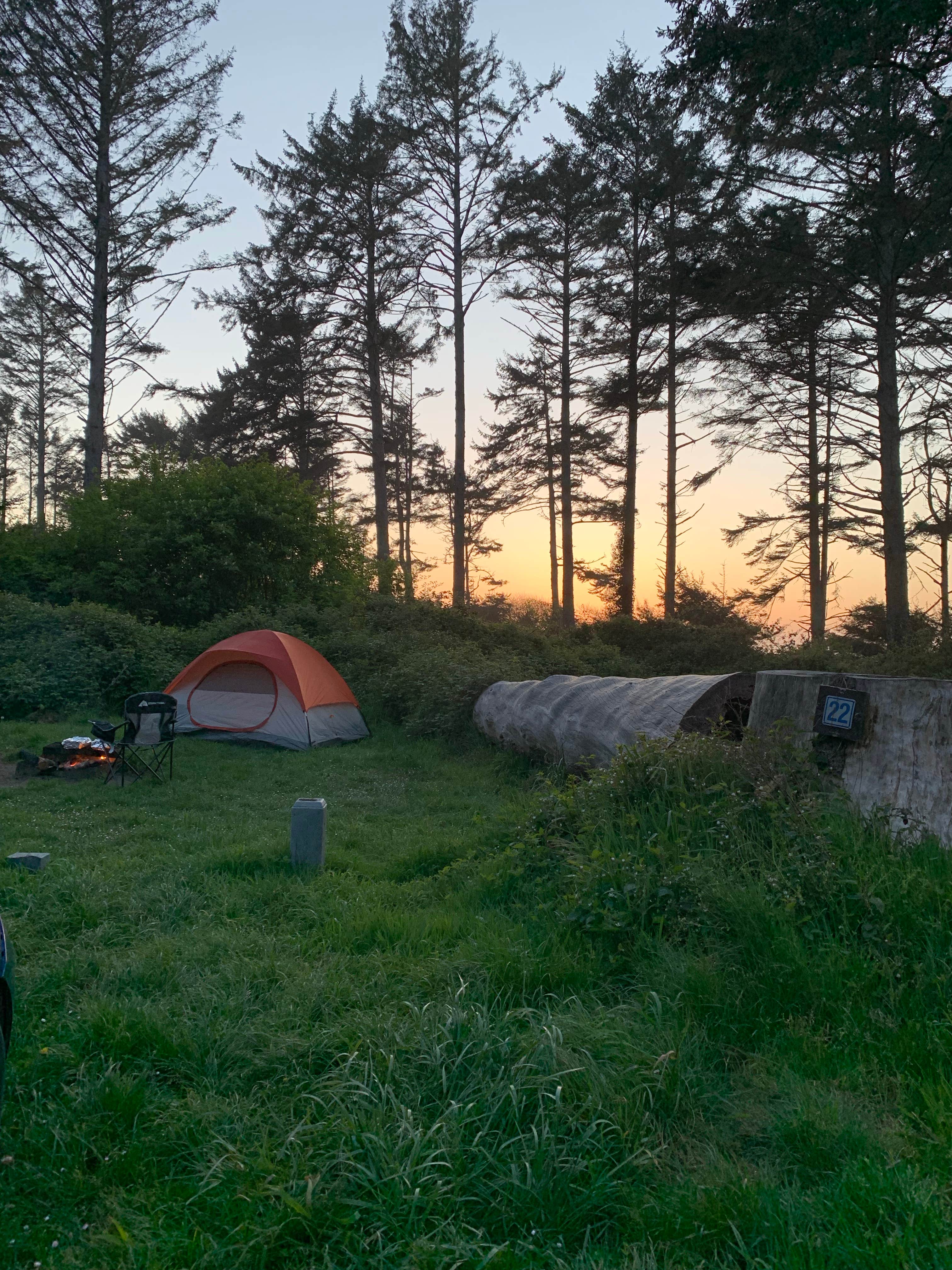 Camper submitted image from Big Lagoon County Park - 4