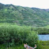 Review photo of Washington Gulch Dispersed Camping by Stephanie B., August 12, 2023