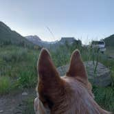Review photo of Washington Gulch Dispersed Camping by Stephanie B., August 12, 2023
