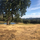 Review photo of Shooting Star Sanctuary and Retreat near Yosemite National Forest by Eleenoy U., August 12, 2023