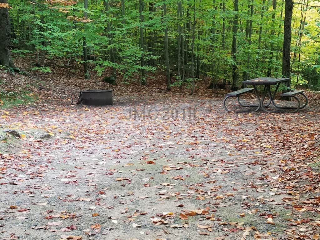 Camper submitted image from Big Rock - 3