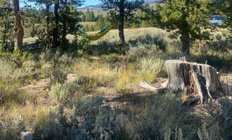 Camping near Casino Creek Campground: Nip and Tuck Rd - Dispersed Camping , Stanley, Idaho