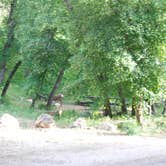 Review photo of Fishlake National Forest Oak Creek Rec Site by Dennis C., August 12, 2023