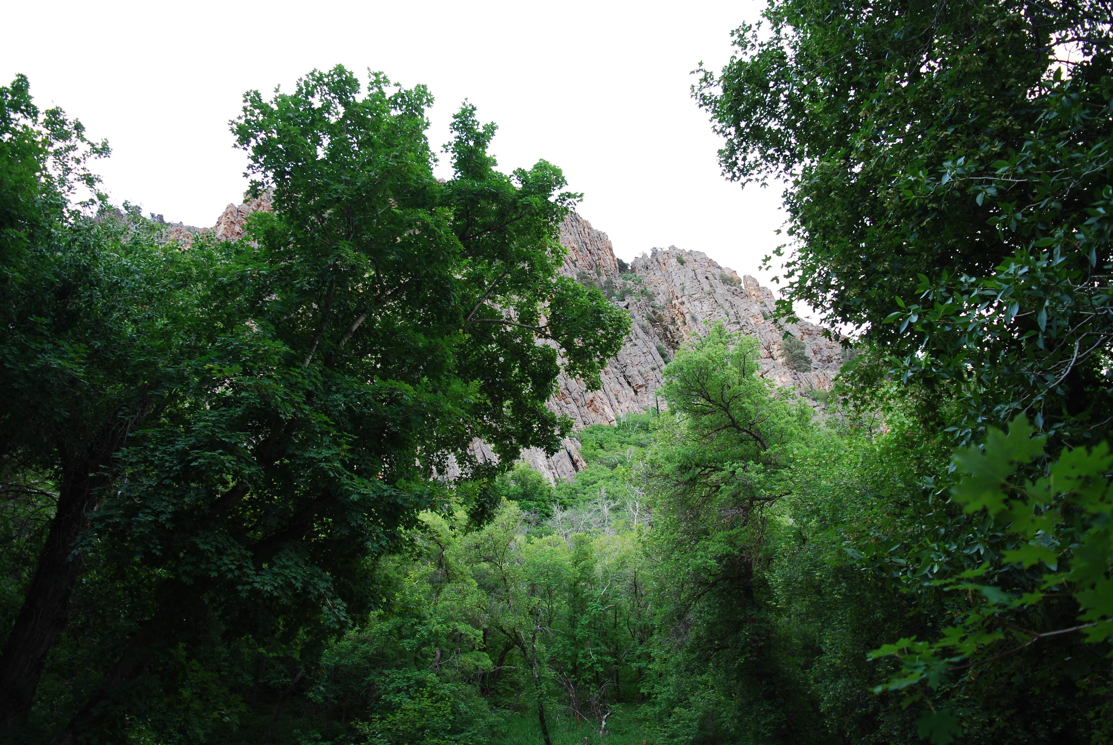 Camper-submitted photo at Fishlake National Forest Oak Creek Rec Site near Oasis, UT