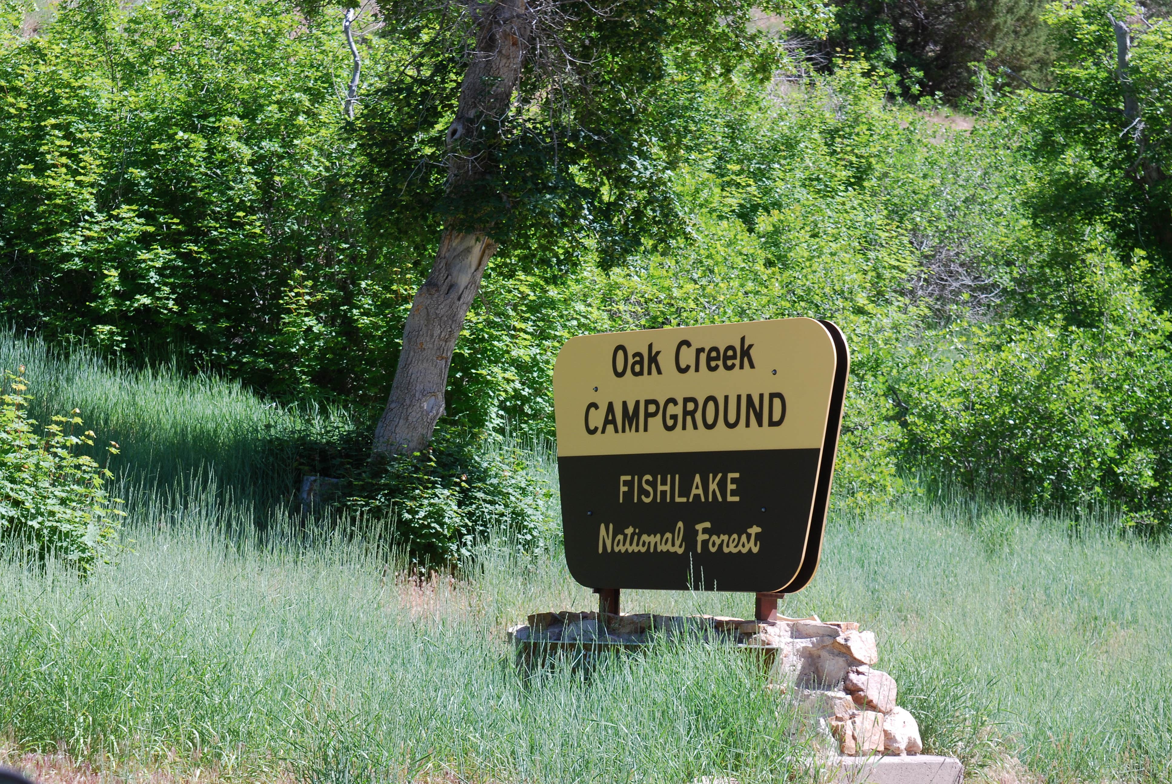 Camper-submitted photo at Fishlake National Forest Oak Creek Rec Site near Oasis, UT