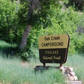 Review photo of Fishlake National Forest Oak Creek Rec Site by Dennis C., August 12, 2023