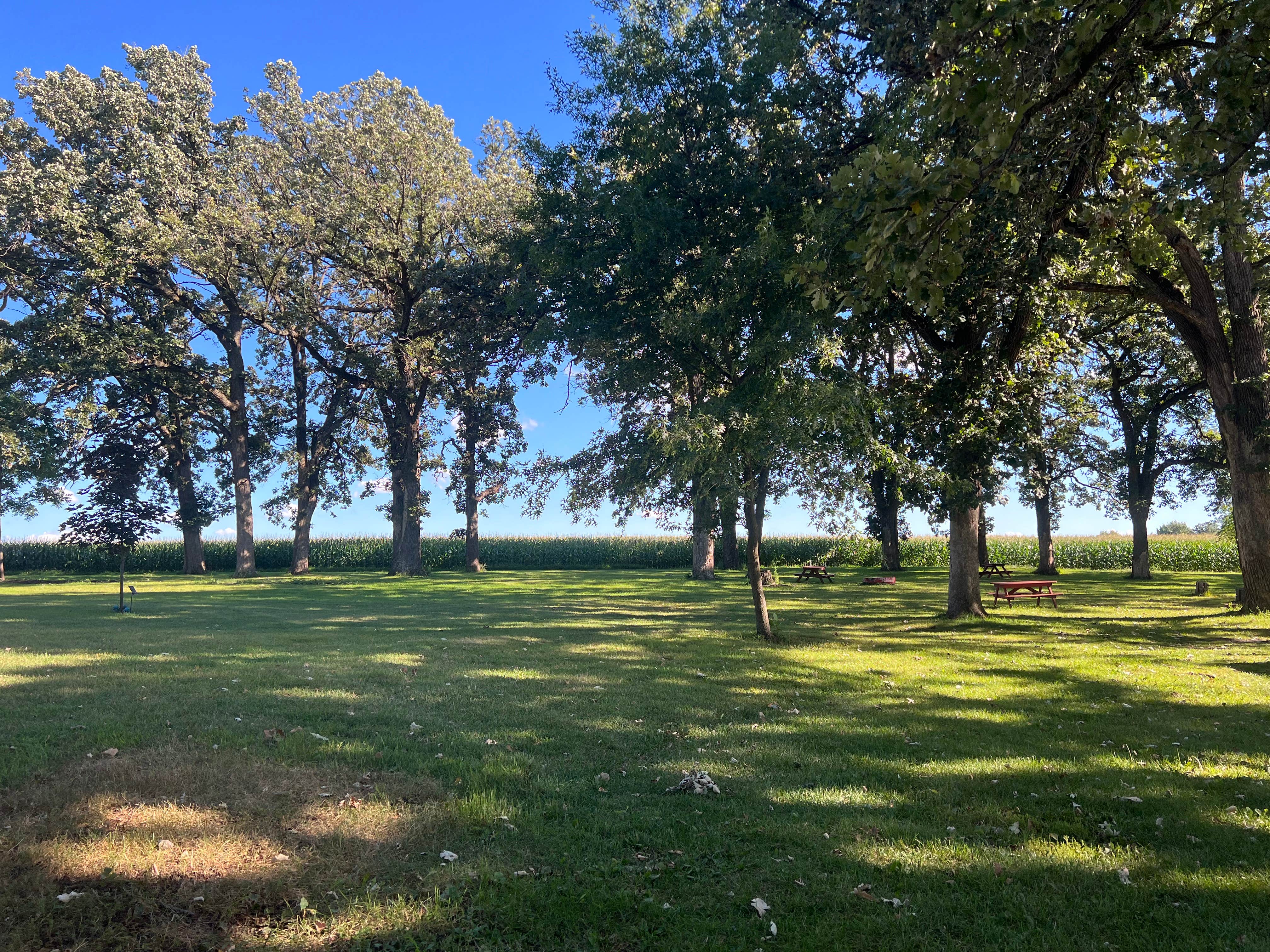 Camper-submitted photo at Hope Oak Knoll Camp Ground near Hayward, MN