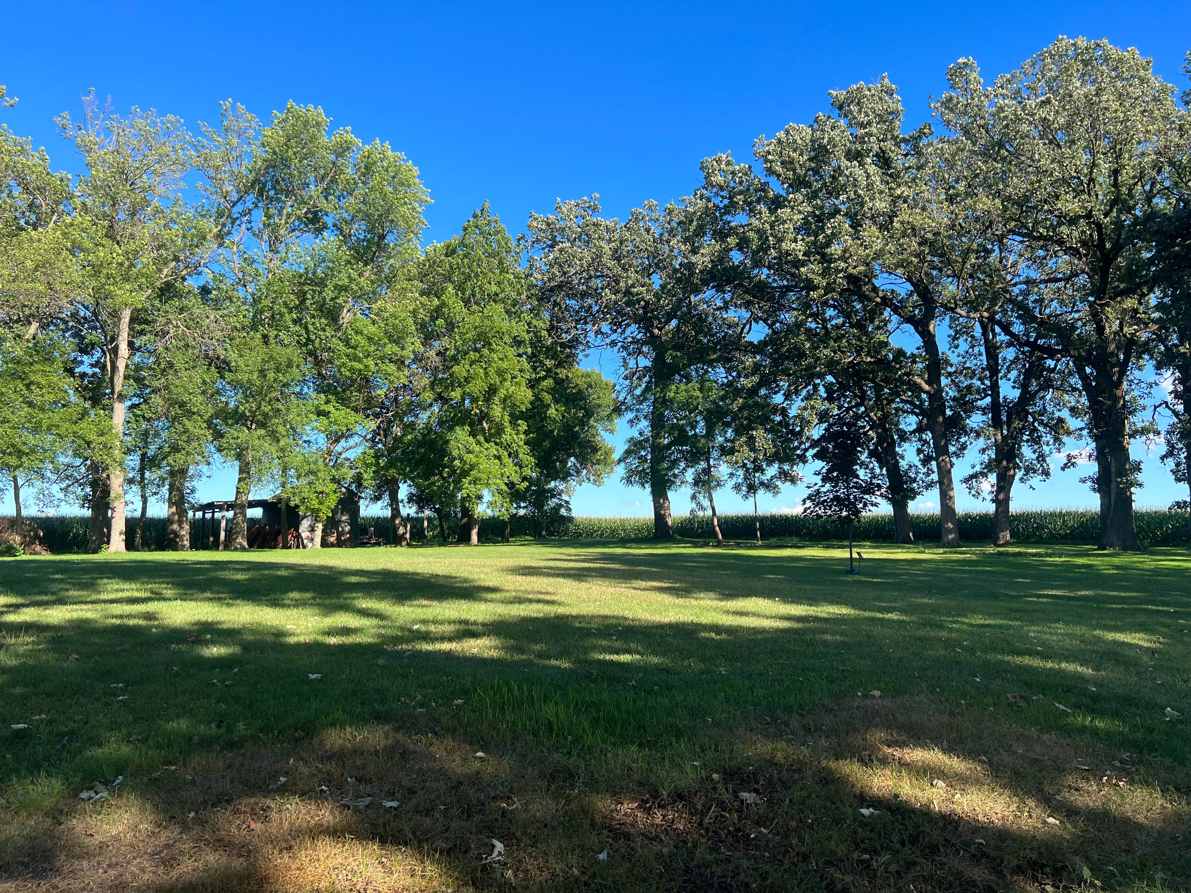 Camper-submitted photo at Hope Oak Knoll Camp Ground near Hayward, MN