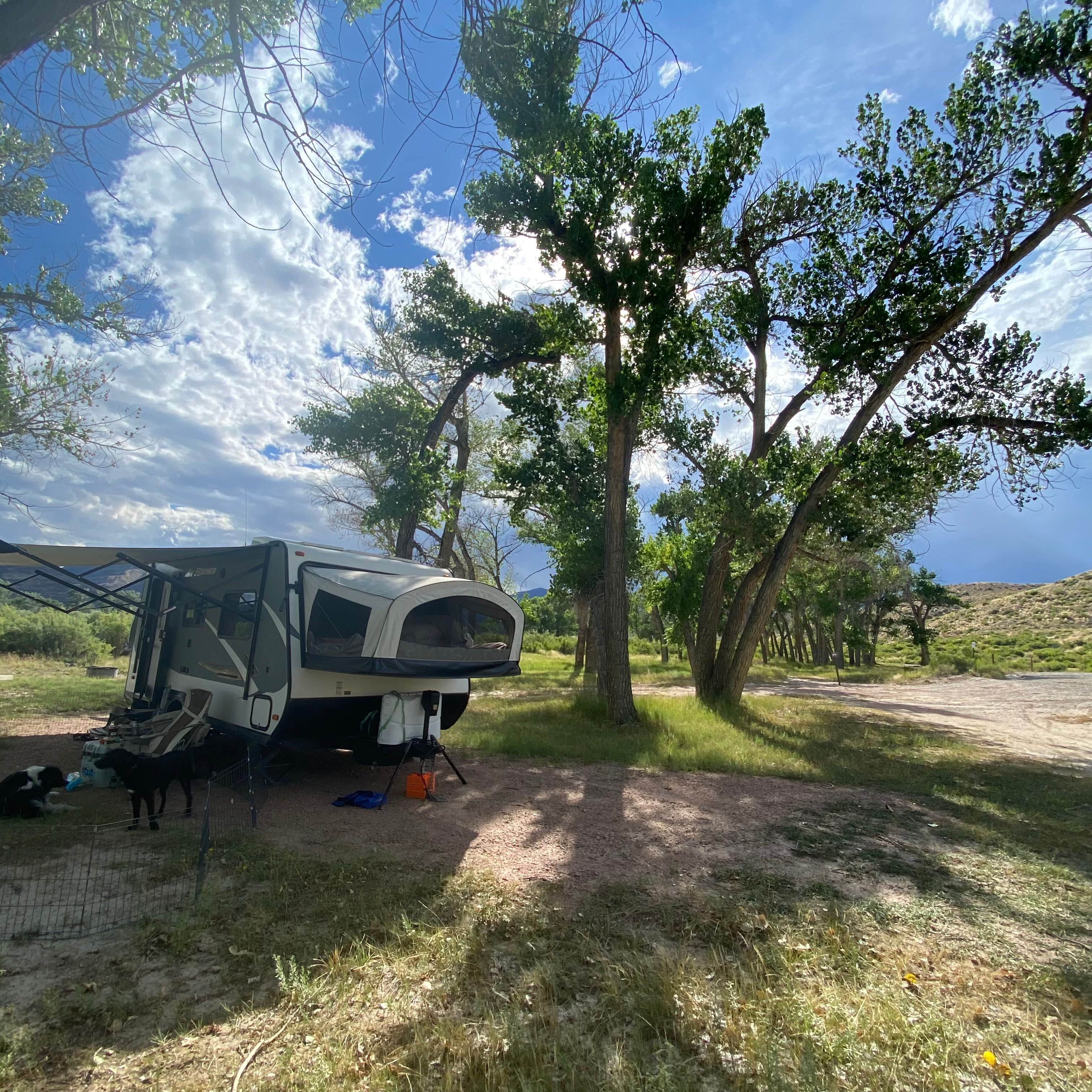 Kim R.'s photo of camping with pets at Crook Campground - FWS - Browns Park NWR near Maybell, CO