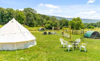 Joseph R.'s photo at Quail Run Farm near White Oak, GA