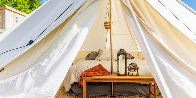 Camper submitted image from Quail Run Farm