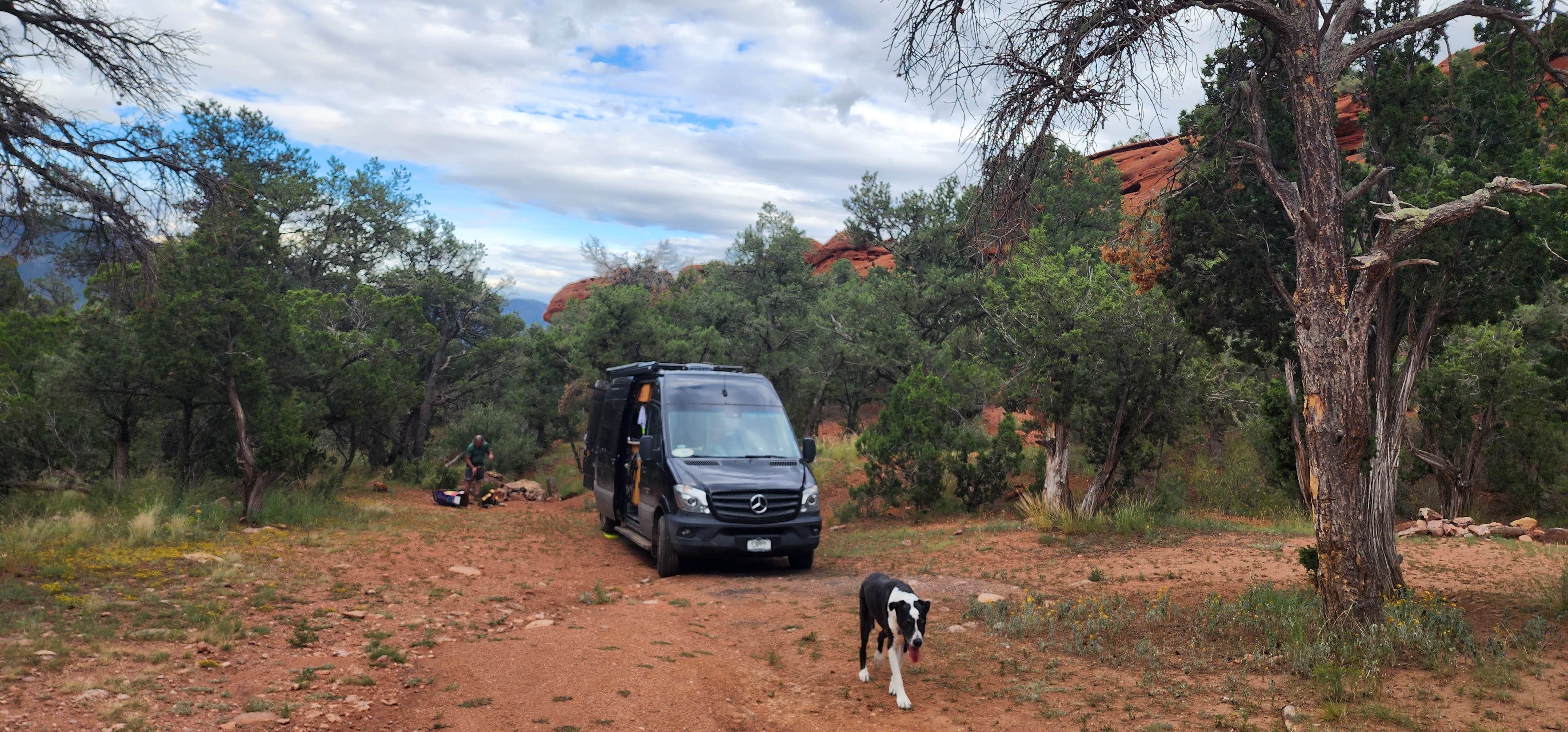 Sue B.'s photo of camping with pets at Red Canyon Park near Florence, CO