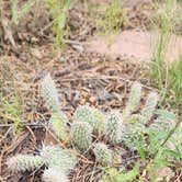 Review photo of Red Canyon Park by Sue B., August 13, 2023