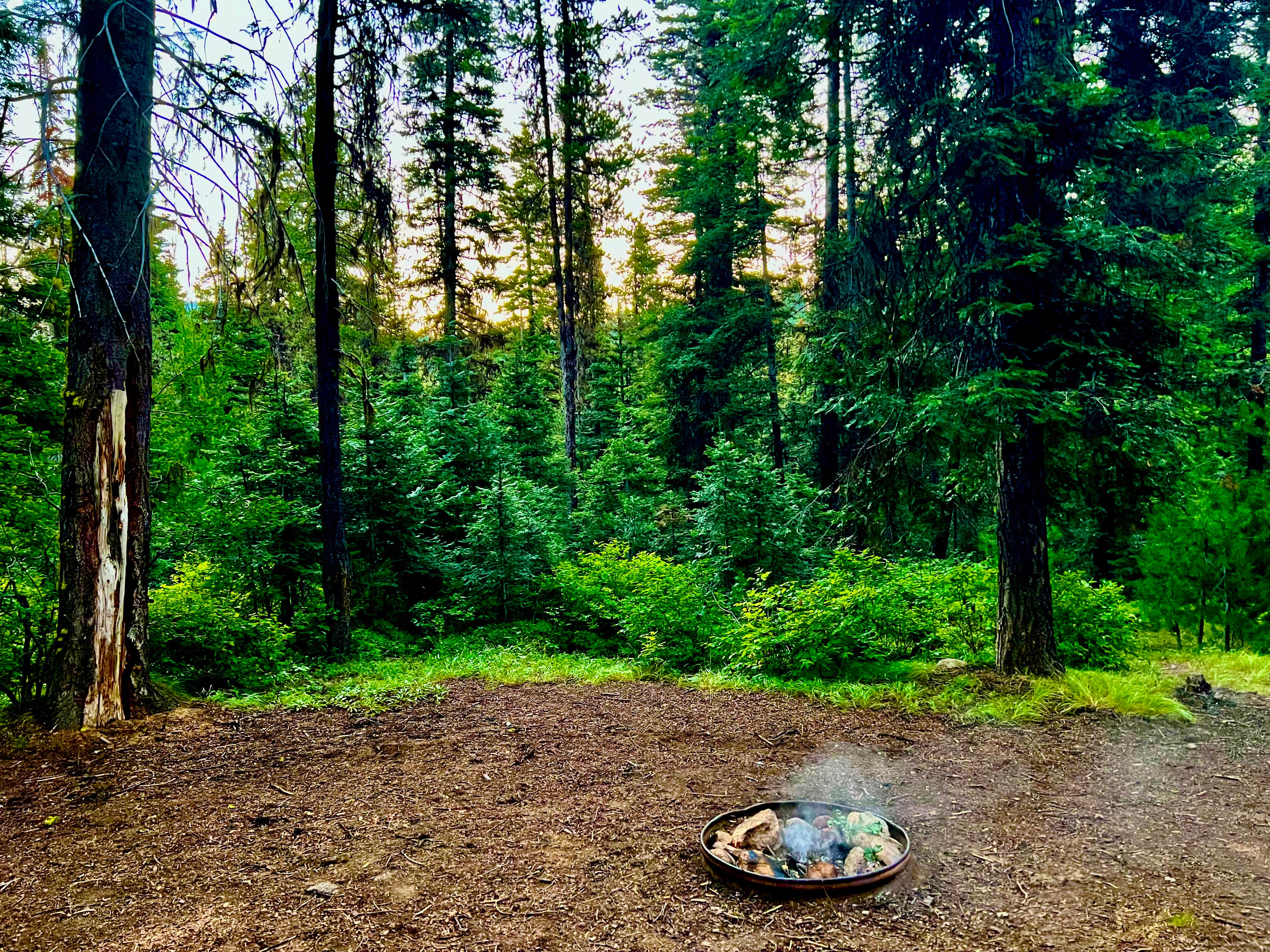Camper submitted image from Rapid Creek Dispersed Camping Area - 2
