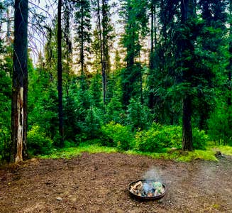 Camper-submitted photo from Rapid Creek Dispersed Camping Area